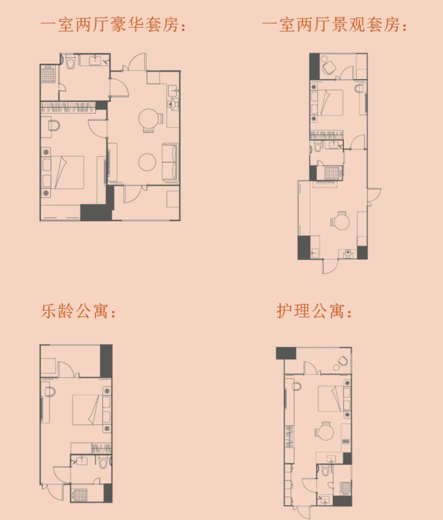 凯德雅诗阁，又一个入局中国养老的新加坡企业