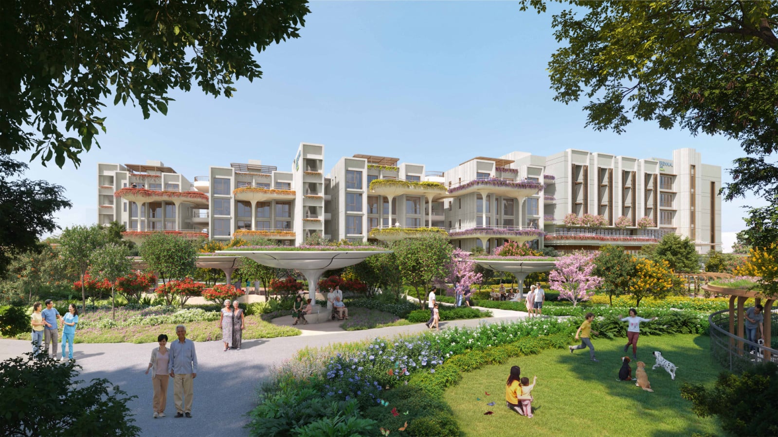 Perennial Living 开发项目全景概览