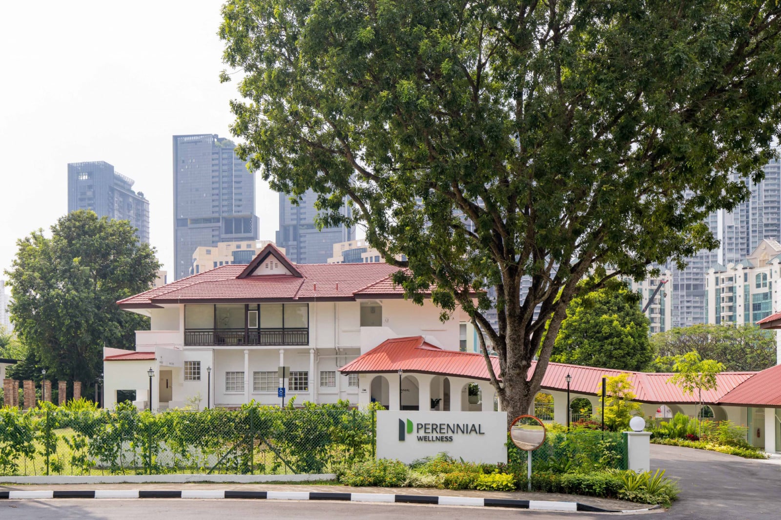 Perennial Wellness Jervois Road 全景