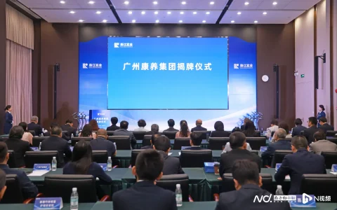 广州康养集团成立：平台型科技企业的崛起与行业变局