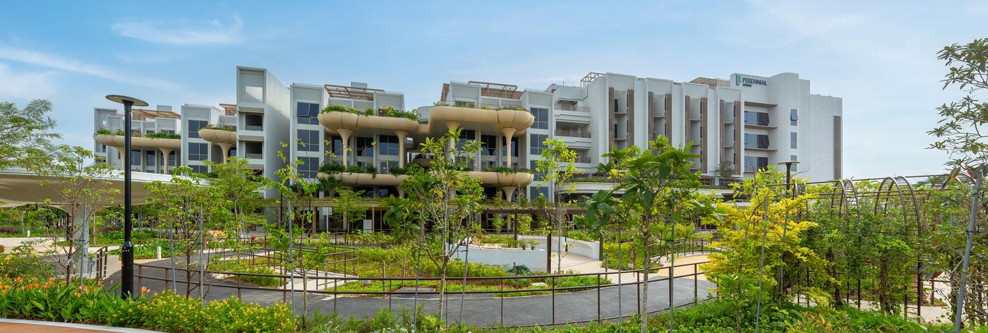 Perennial Living 协助生活社区鸟瞰:28 Parry Avenue 的公寓楼与花园